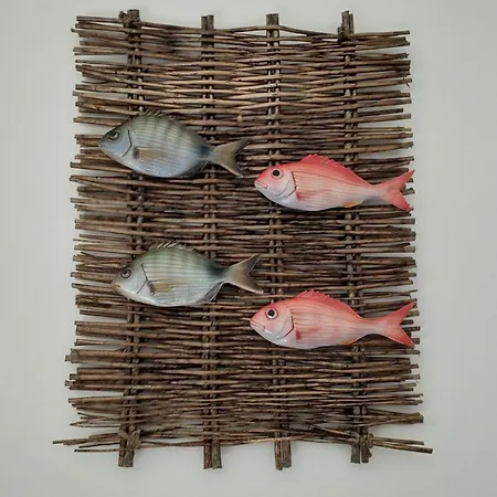 Agapanthus Βίλα Monopoli