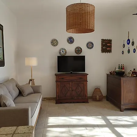 Agapanthus Βίλα *