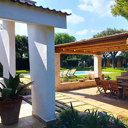 Agapanthus Βίλα Monopoli