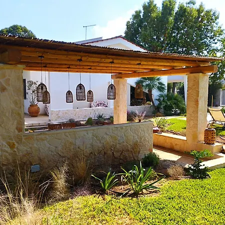 Agapanthus * Monopoli