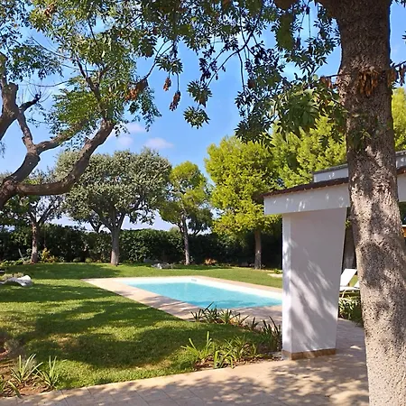 Agapanthus * Monopoli