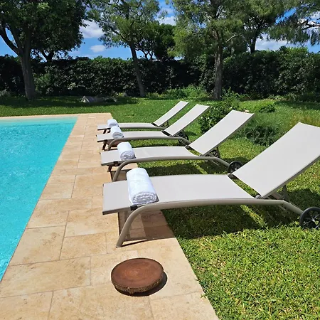 Agapanthus * Monopoli