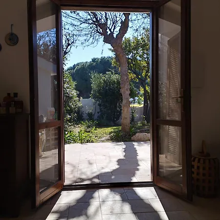 Agapanthus Villa
