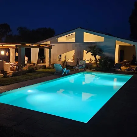 Agapanthus Villa Monopoli