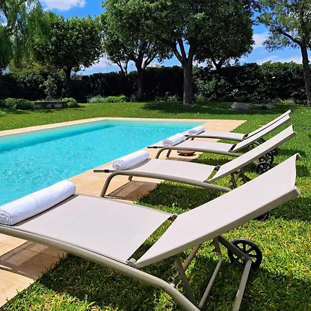 Agapanthus * Monopoli