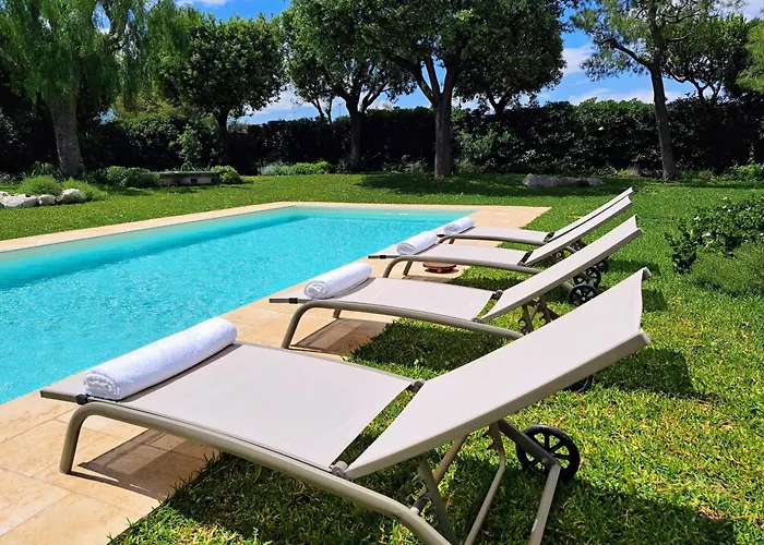 Agapanthus * Monopoli